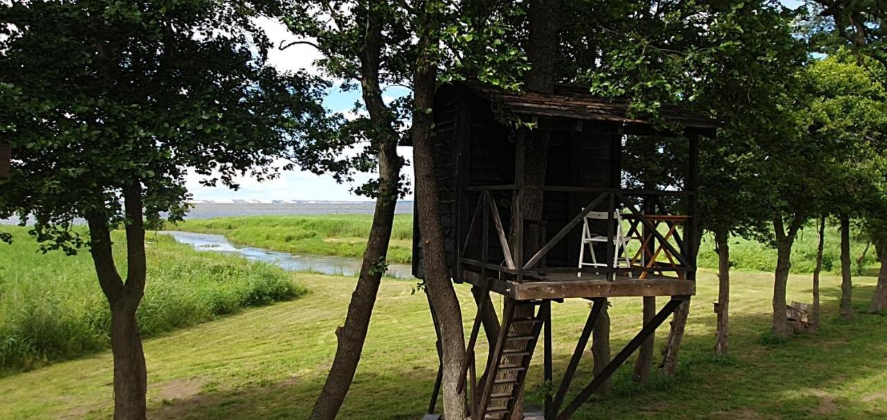 Kaimo Turizmo Sodyba Satavi Kinty Exteriör bild