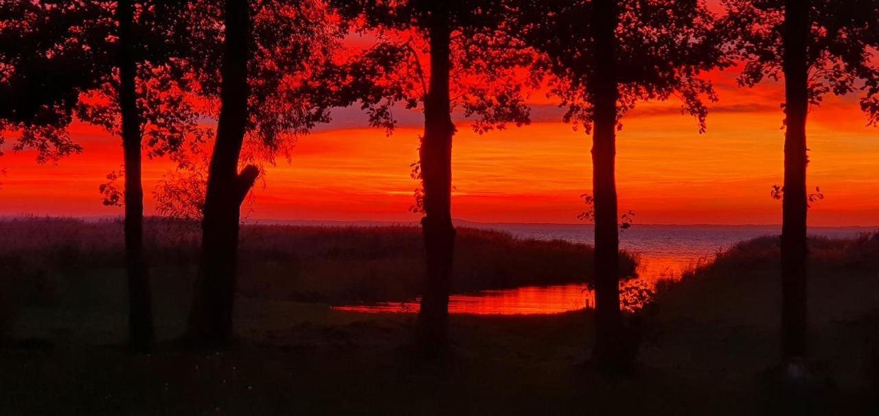 Kaimo Turizmo Sodyba Satavi Kinty Exteriör bild