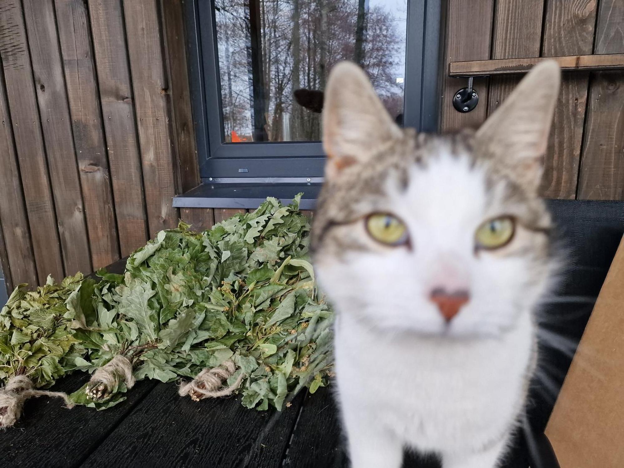 Kaimo Turizmo Sodyba Satavi Kinty Exteriör bild
